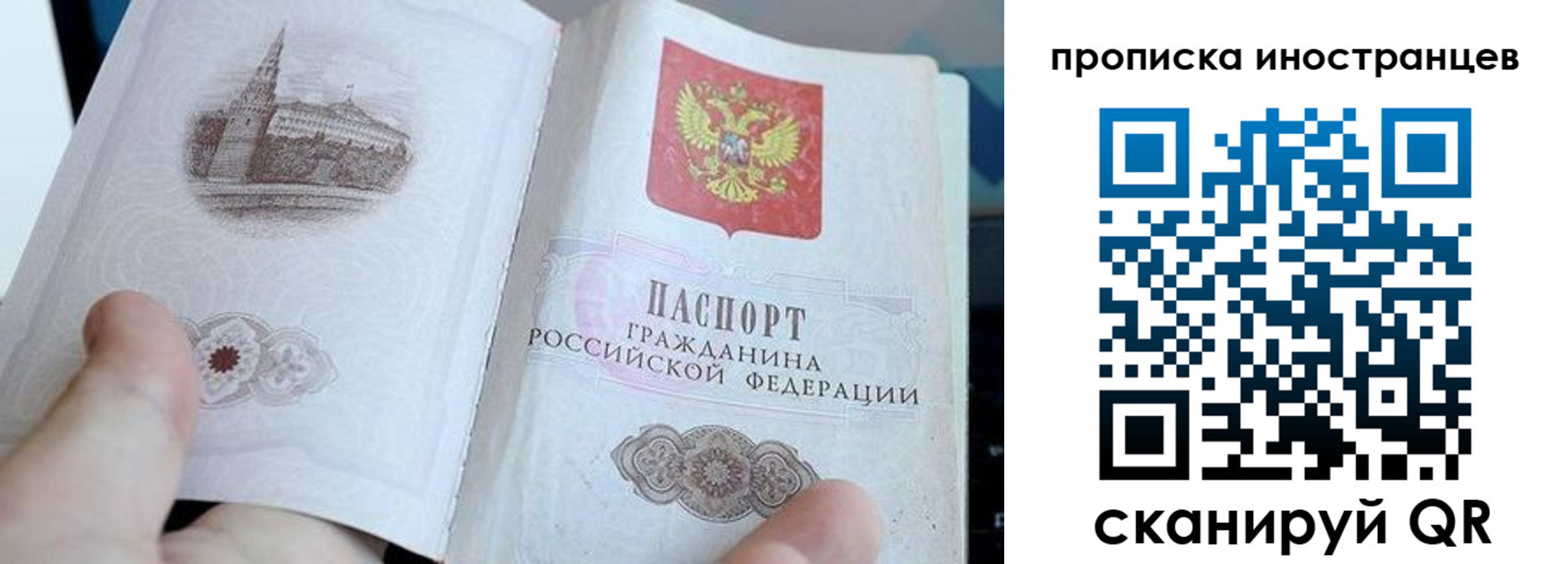 прописка поиск в Краснодарском крае